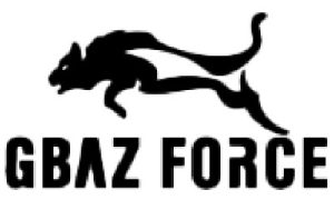 Logo de la force GBAZ