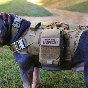 harnais tactique pour chien