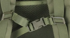 chest strap with buckle