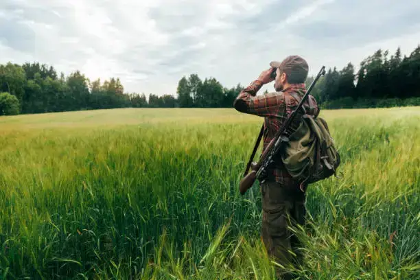 Hunter with gun sling in field, using binoculars, rifle on back, and backpack.
